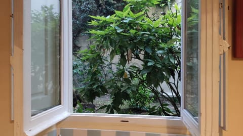 Garden view