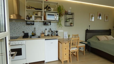 Kitchen or kitchenette, Bedroom
