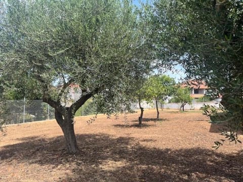 Casa Plati 2 House in Messenia