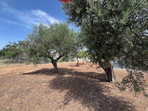 Casa Plati 2 House in Messenia