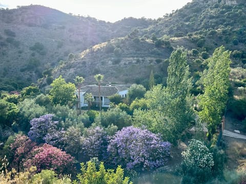 Natural landscape, Bird's eye view