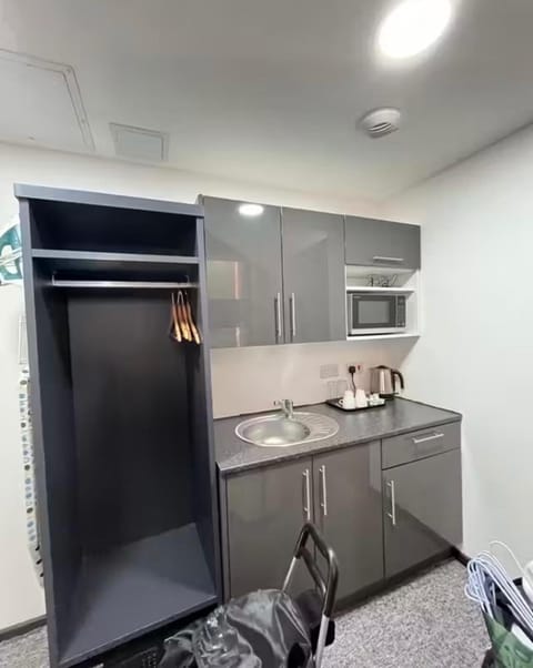 Kitchen or kitchenette, minibar, oven, stove