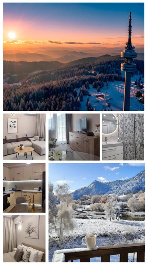 Toilet, Skiing, Bathroom, Coffee/tea facilities, View (from property/room), Balcony/Terrace, Living room, Bedroom, Lake view, Landmark view, Mountain view, kitchen