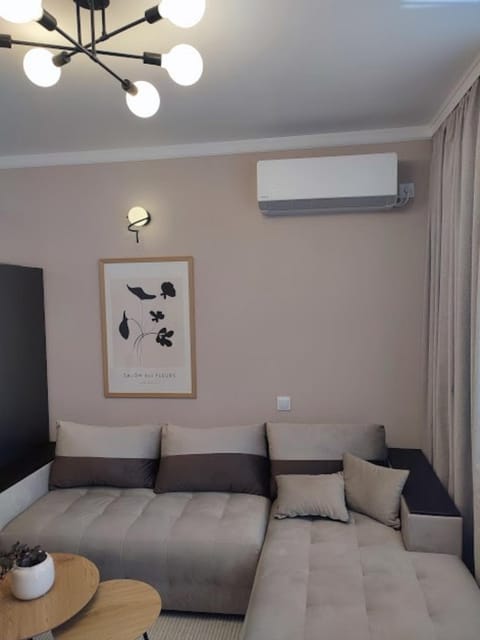 Living room, air conditioner