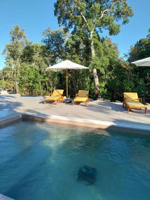 Swimming pool, sunbed