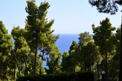 Beach, Sea view