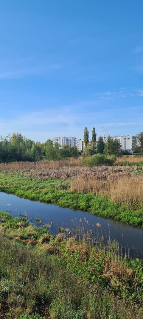 Property building, River view