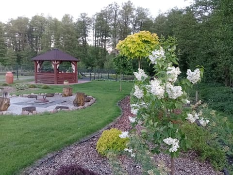Activities, Garden view