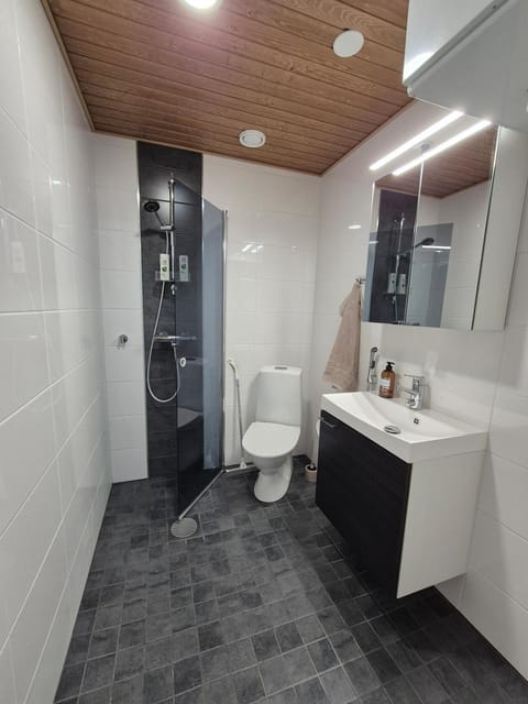 Bright studio for two Apartment in Finland