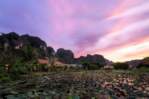 Mountain view, Sunset