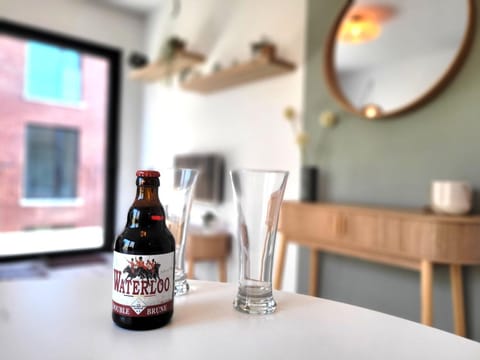 Waterloo Downtown Park Apartment in Flanders