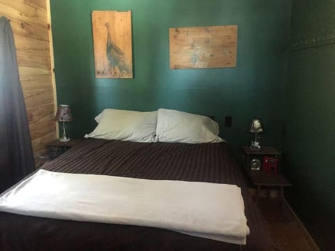 Charming Lakefront Cabin Rental with a Fire Pit near Brownville, Maine Cabin in Northeast Piscataquis