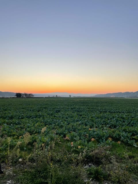 Natural landscape, Sunrise