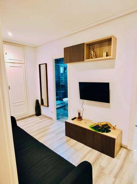 EN PLENO CENTRO de MADRID - GRAN VIA - CALLAO - SOL Apartment in Centro