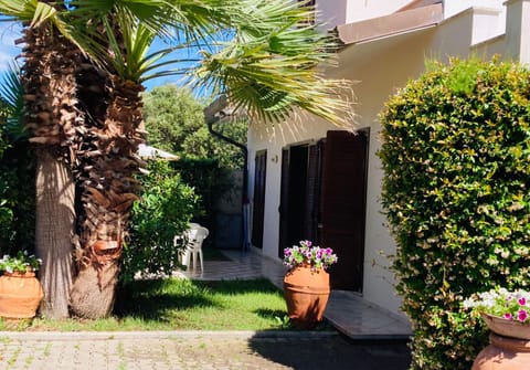 Property building, Spring, Day, Garden, Garden view