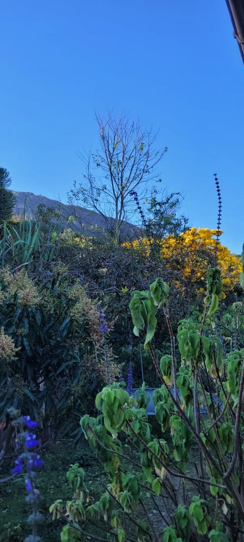 View (from property/room)