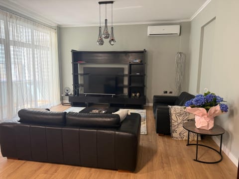 TV and multimedia, Living room, Seating area, air conditioner