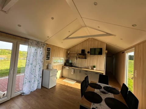 Kitchen or kitchenette, Living room, Seating area, Dining area, oven, stove