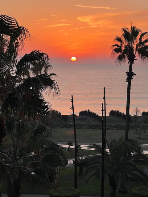 Sunrise