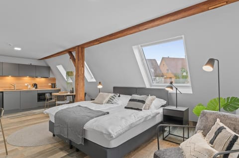 Bed, Kitchen or kitchenette, Living room, Photo of the whole room, Seating area, Bedroom