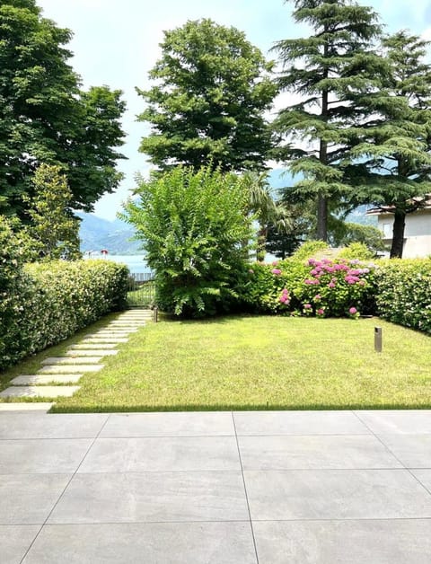 Garden, Garden view, Garden view