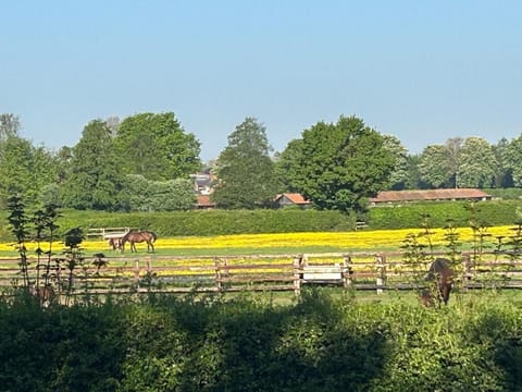 Beautiful Lodge in Newmarket with parking Apartment in Forest Heath District