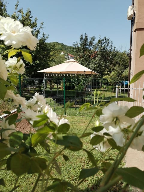 Day, Garden, Garden view