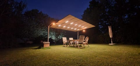 Patio, Night, Garden, Garden view