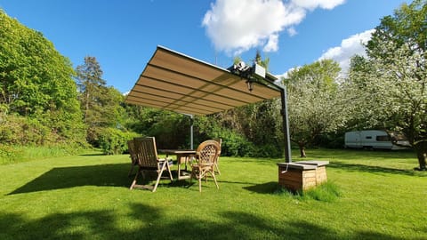 Patio, Spring, Natural landscape, Garden, Garden view