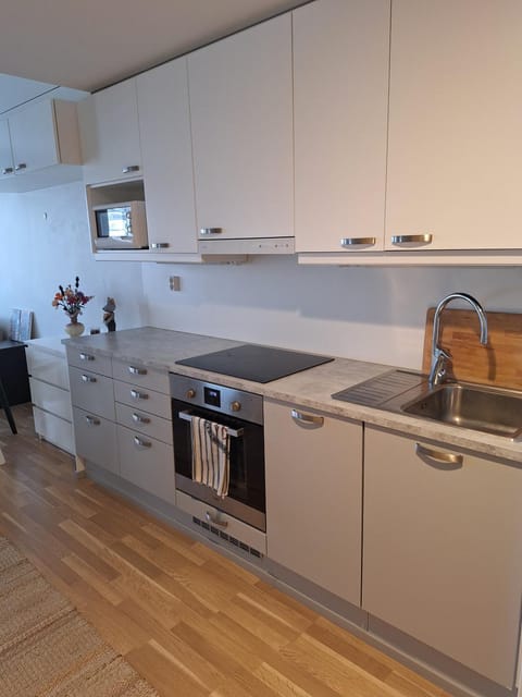 Upea asunto ydinkeskustassa Apartment in Finland