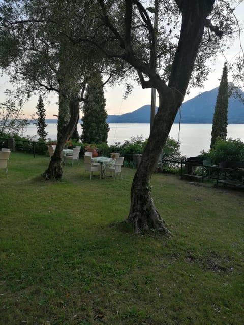 Day, Natural landscape, Garden, Lake view