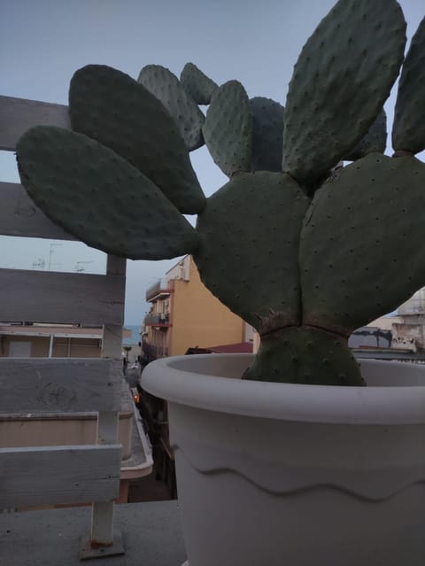 Residence Pugliamare House in Province of Foggia