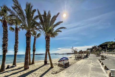 Neighbourhood, Natural landscape, Beach