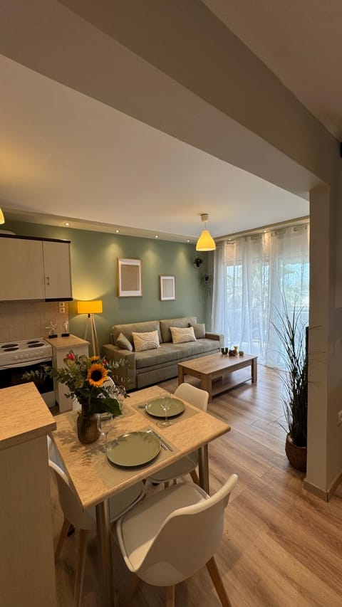 Kitchen or kitchenette, Living room, Seating area, Dining area