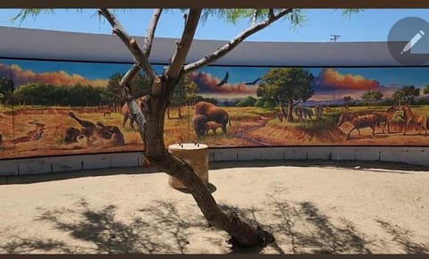 Golden Hour Hideaway Tranquil Desert Retreat Near Joshua Tree House in Joshua Tree