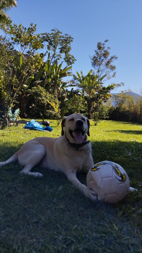 Suite - mata atlântica e praia Bed and Breakfast in Angra dos Reis