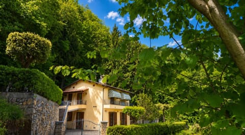 Property building, Day, Garden view