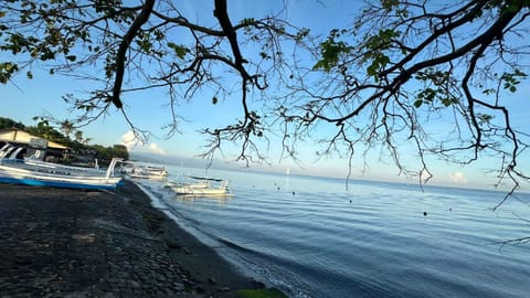 Natural landscape, Beach