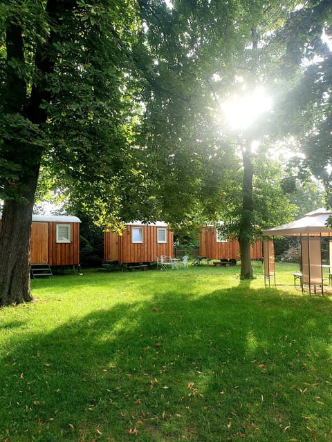 Property building, Natural landscape, Garden