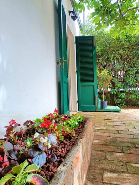 Palazzo Pitti Apartment in Rosignano Solvay