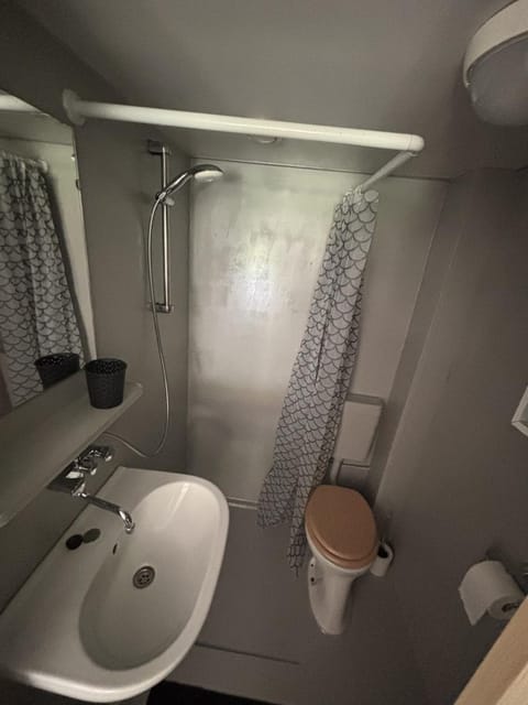 Shower, Toilet, towels