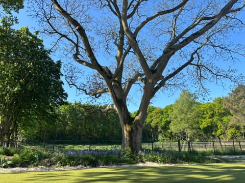 Natural landscape, Garden
