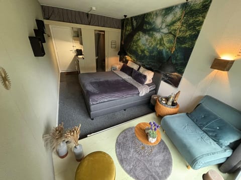 Bed, Living room, Photo of the whole room, Seating area