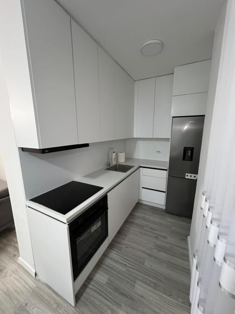 The Modern City Apartment in Serbia