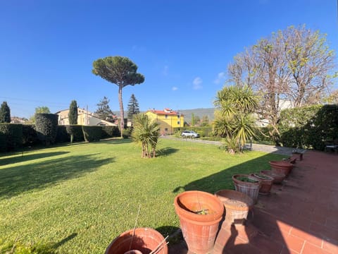 Natural landscape, Garden, Garden view