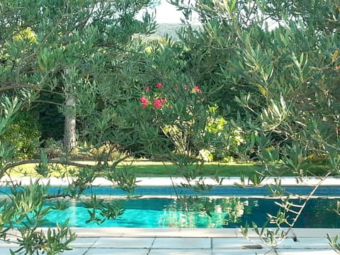 Day, Pool view, Swimming pool, Swimming pool