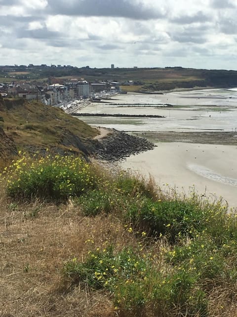 L'Alidade Chambres d'hôtes Bed and Breakfast in Wimereux