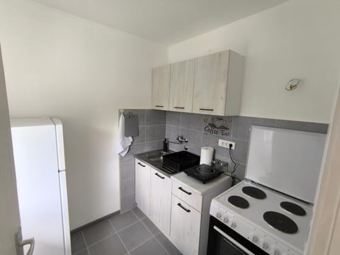 Apartman Removic Apartment in Zlatibor District, Serbia