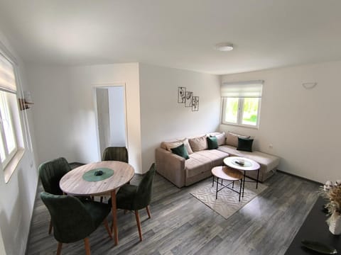 Apartman Removic Apartment in Zlatibor District, Serbia