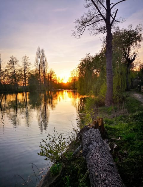 Lake view